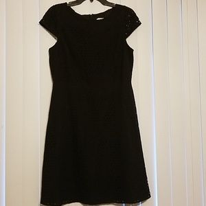 ❣J. Crew❣ Skater Dress
